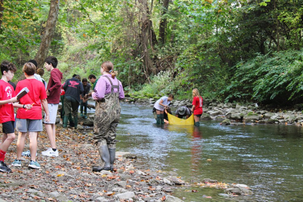 Image of students studying stream.