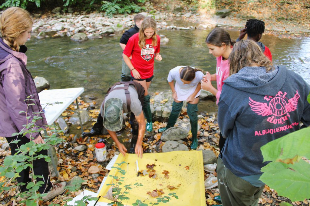 Image of students studying organisms collected from stream.