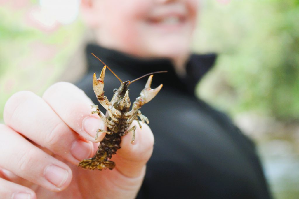 Image of student holding crayfish.