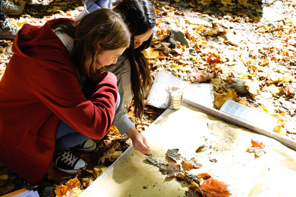 Two students sift through stream debris.